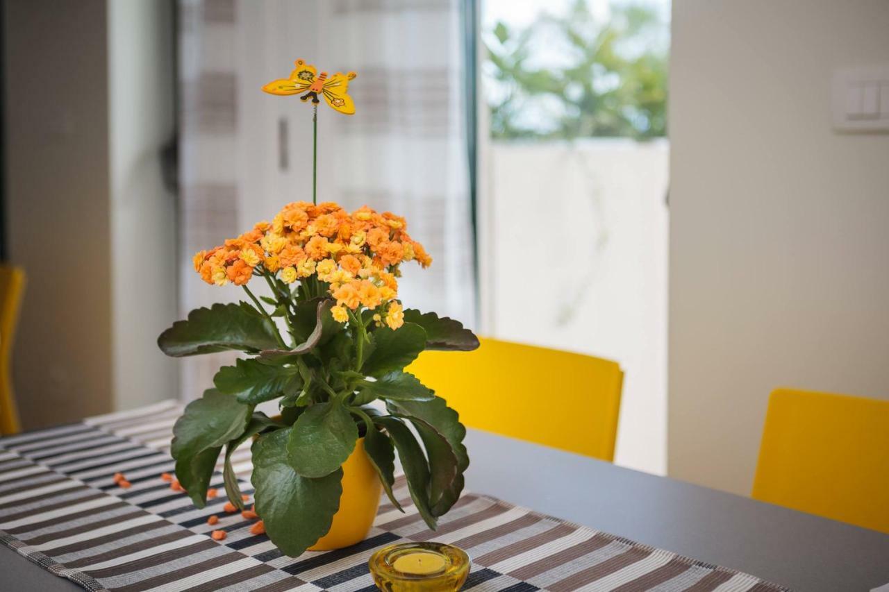 Apartments In زاووستروج المظهر الخارجي الصورة